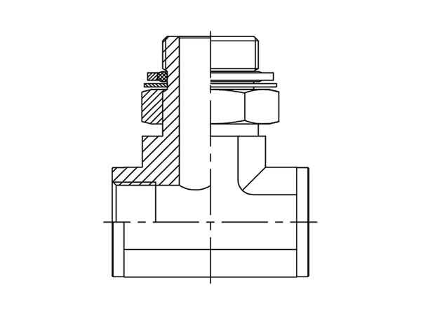 A drawing of DABPFT06Q hydraulic adaptor.