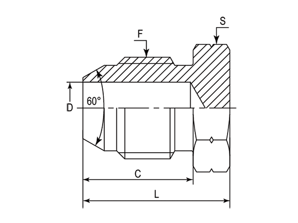 A drawing of DAJSBM1000 hydraulic adaptor.