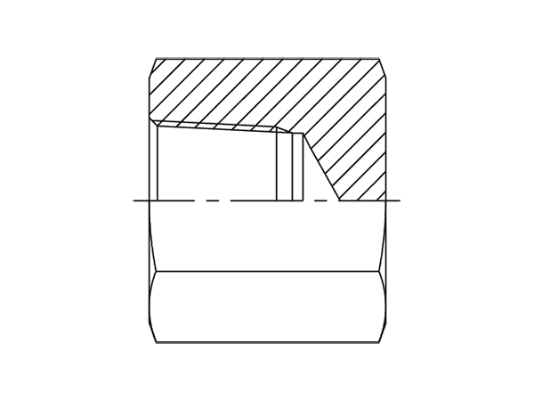 A drawing of DANP31000 hydraulic adaptor.