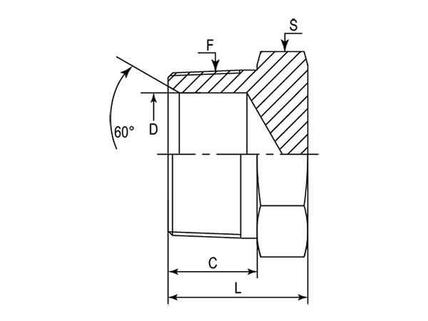A drawing of DANPM1000 hydraulic adaptor.