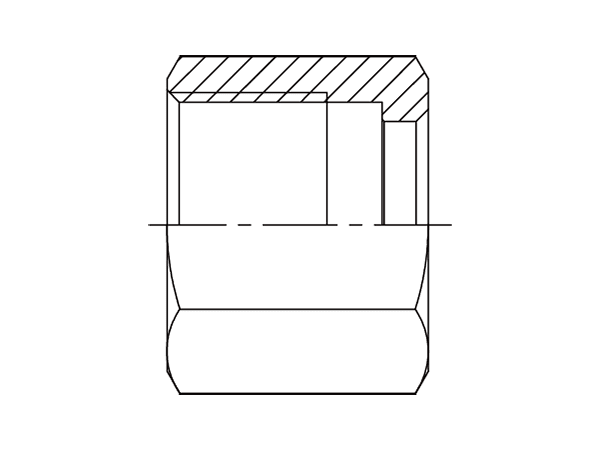 A drawing of DAOFD0000 hydraulic adaptor.