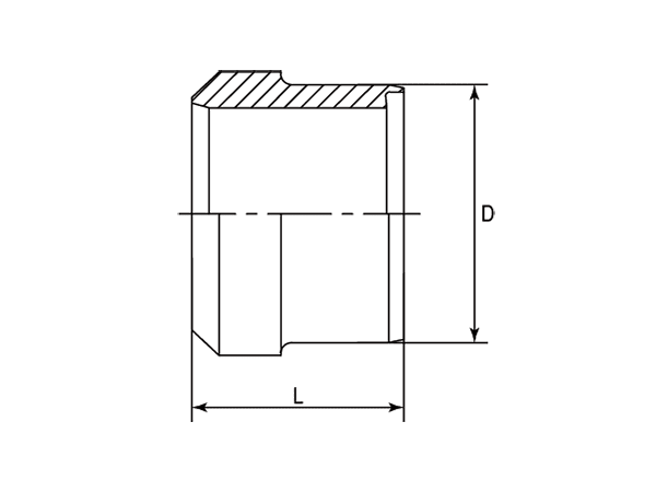 A drawing of DS hydraulic adaptor.