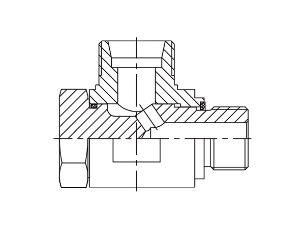 A drawing of DSVW-M hydraulic adaptor.