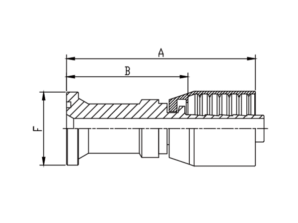 A drawing of DP1FSF one piece hose fitting of DME&JDE.