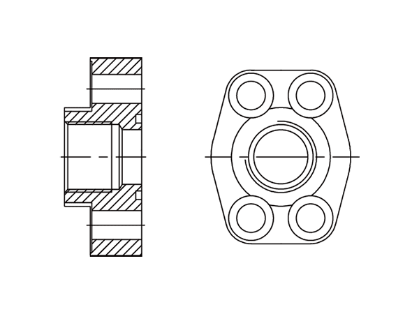 A drawing of DFL3BP hydraulic flange fitting.