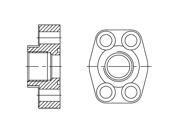 A drawing of DFL6BP hydraulic flange fitting.