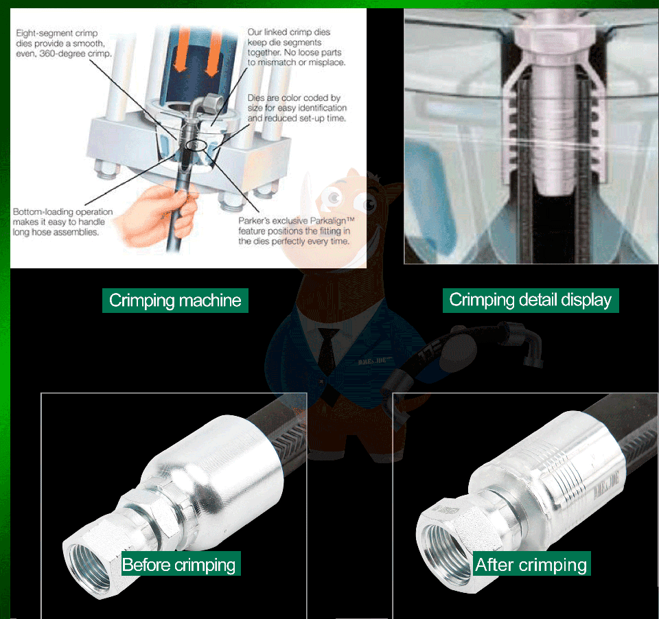 The detailed hose fitting crimping process and comparison before and after crimping.